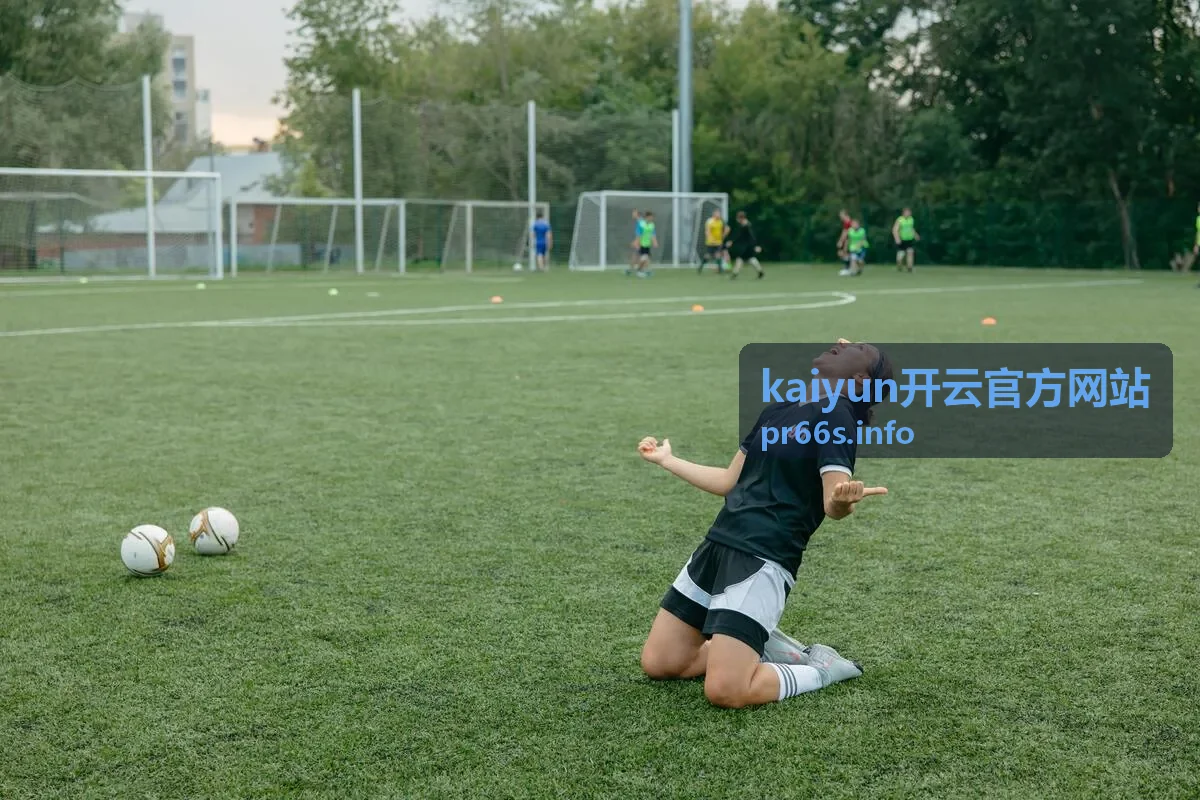 kaiyun开云官方网站首页概览界面示意